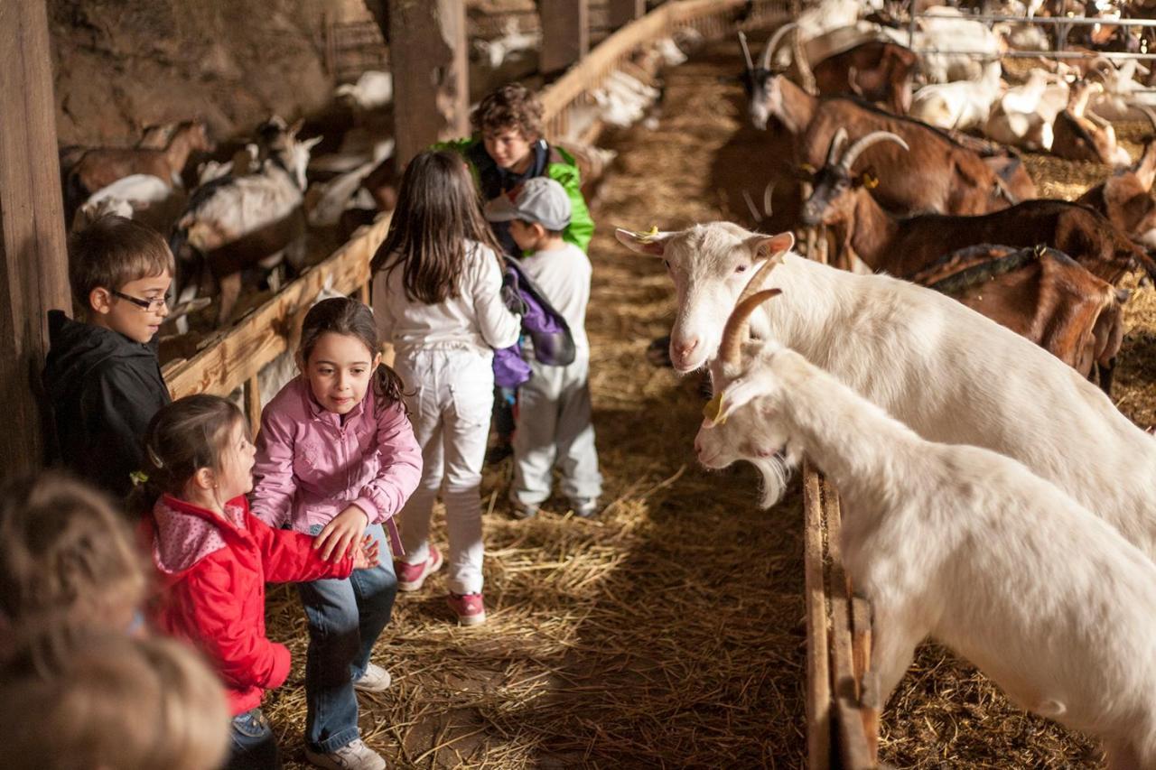 ホテル La Ferme Des Cevennes Florac エクステリア 写真
