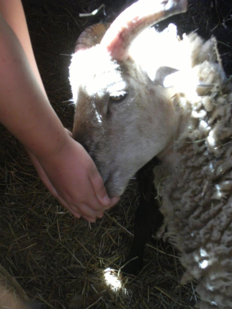 ホテル La Ferme Des Cevennes Florac エクステリア 写真
